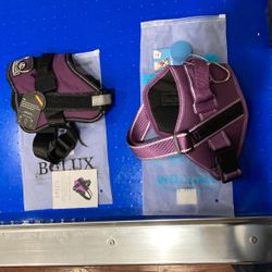 2 Dog Collars Size M