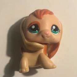 LPS Beagle 