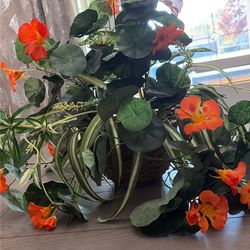 Table center piece (Decoration)