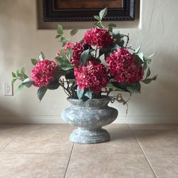 House Plant