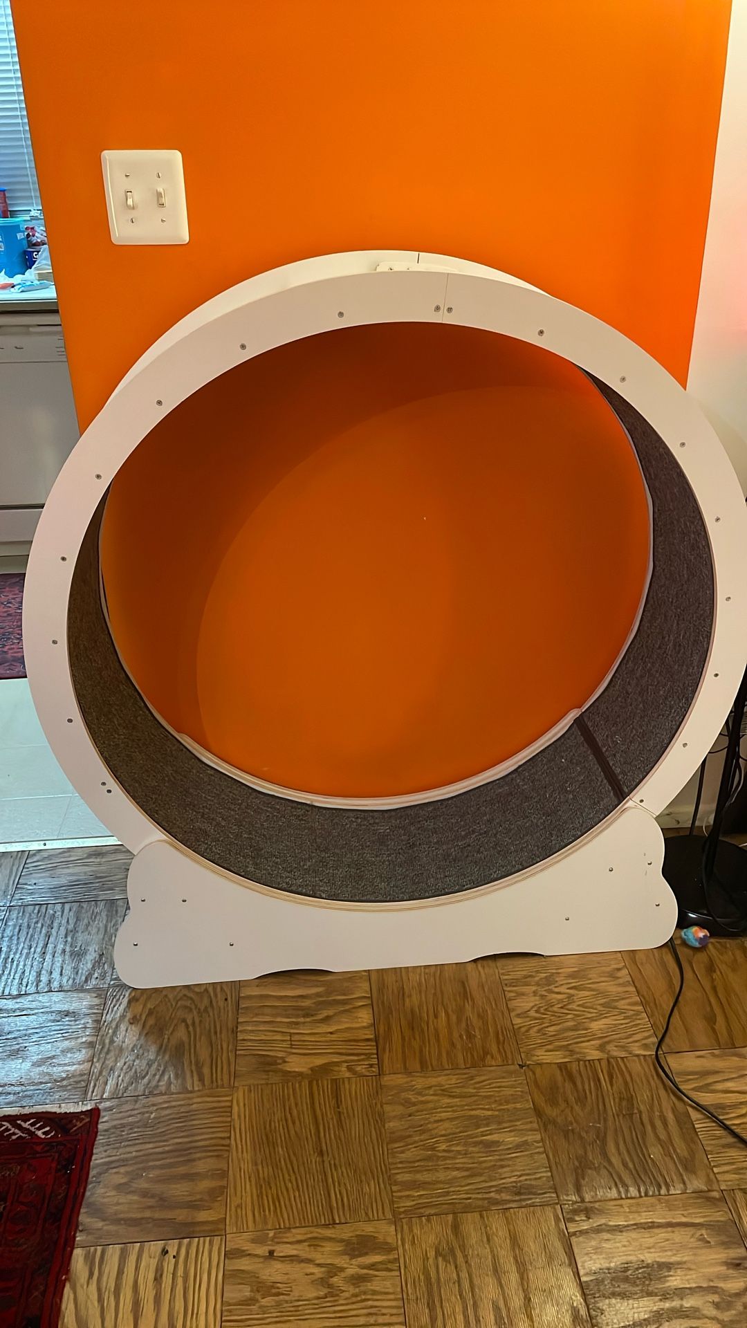 Cat /small Dog Exercise Wheel