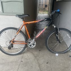 Giant mountain bike