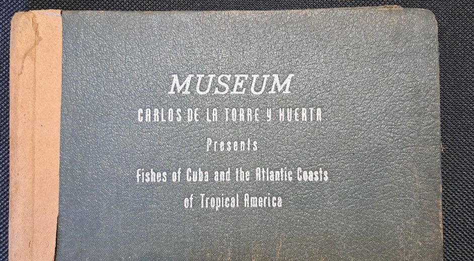 Memorabilia