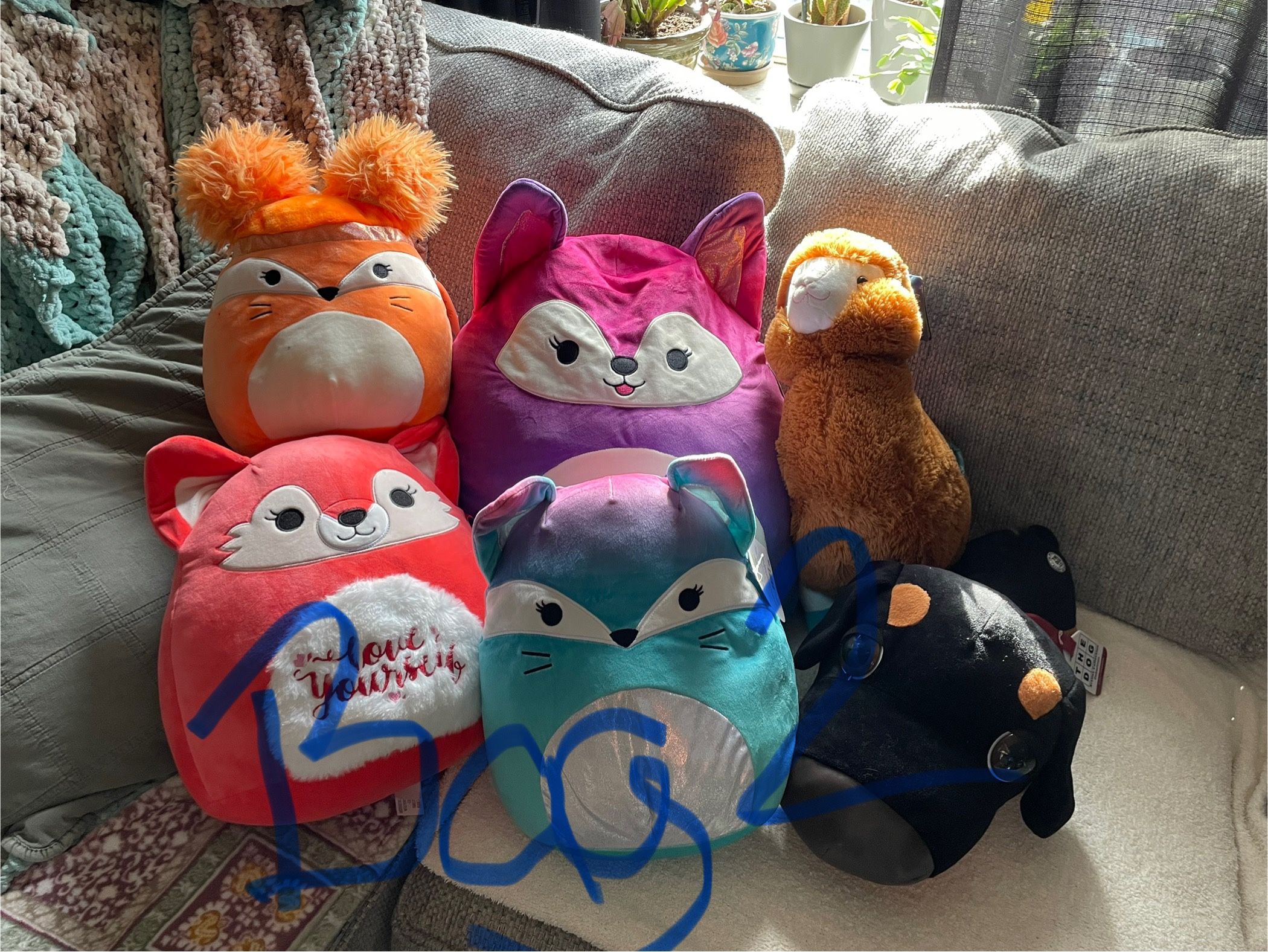 Bag Full Of Squishmallows And Some Other Plushies