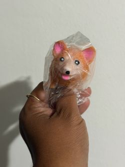 Squishy dog crunchy