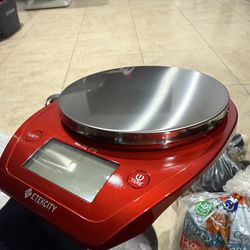 Food Scale