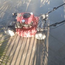 Briggs And Stratton Self-propelled Lawn Mower