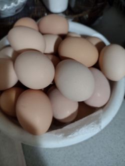 eggs 🥚