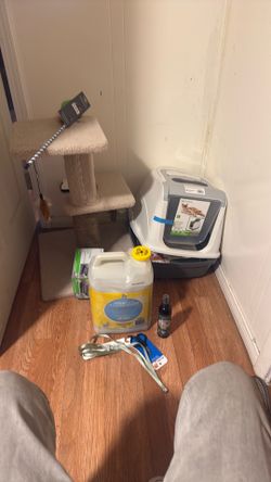 Cat essentials