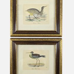 W. King Ambler "Game Birds" Series 2 Framed Hand-Colored Restrike Prints 11"×10"