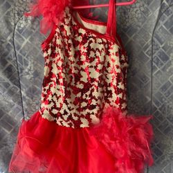 Size L Girls Costume 