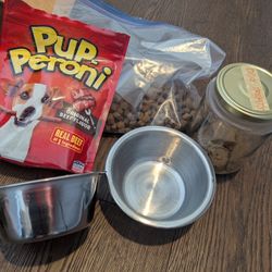 Free Dog Food And Dog Dishes. 