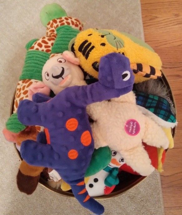 Dog Toys