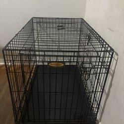 Dog Cage 