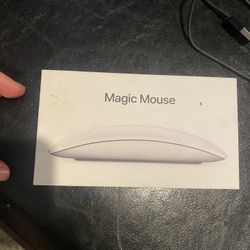 Apple Mouse