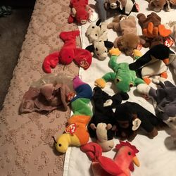 Beenie Babies 
