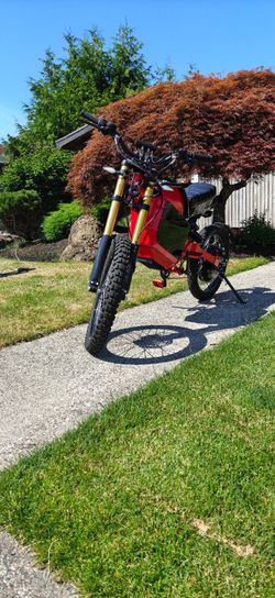 Electric Bike