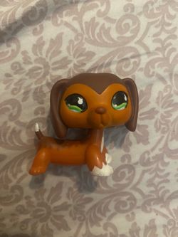 Littlest pet shop 675