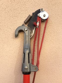 Tree Pruner