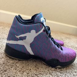 NIKE AIR JORDAN 29 XX9 RIVERWALK SHOES MENS Size 12 mint condition 