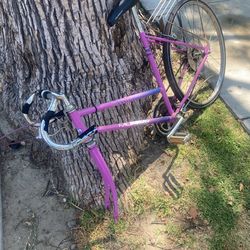 Bicicleta