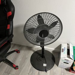 Fan