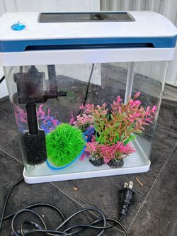 2 Gallon Fish Aquarium