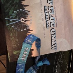 Camp Flog Gnaw SUNDAY Ticket 