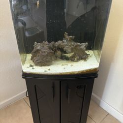 Fish Tank