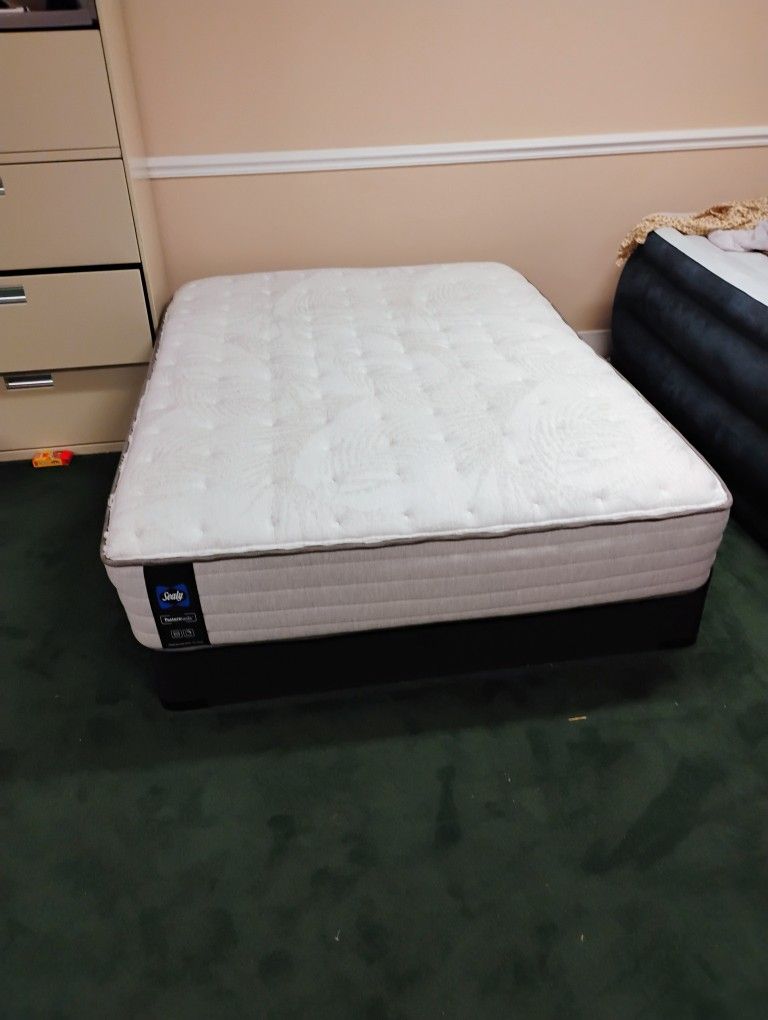 Full Size Bed Sealy Brand 