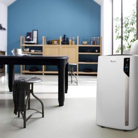 De'Longhi Pinguino in 1: Air Conditioner, Heater, Dehumidifier
