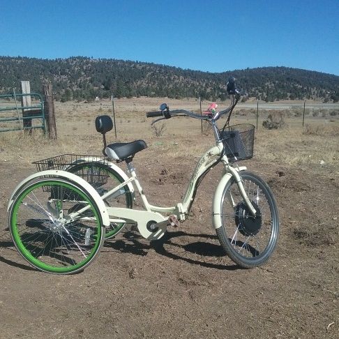 margaritaville adult trike