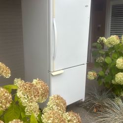 Free Refrigerator: Works Great! 