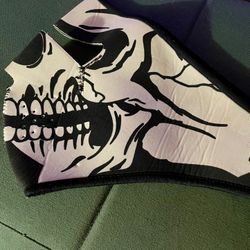 Skull Face Mask