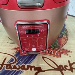 Professional Rice Cooker 