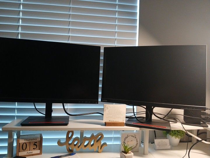 Two ThinkVision Computer Monitors