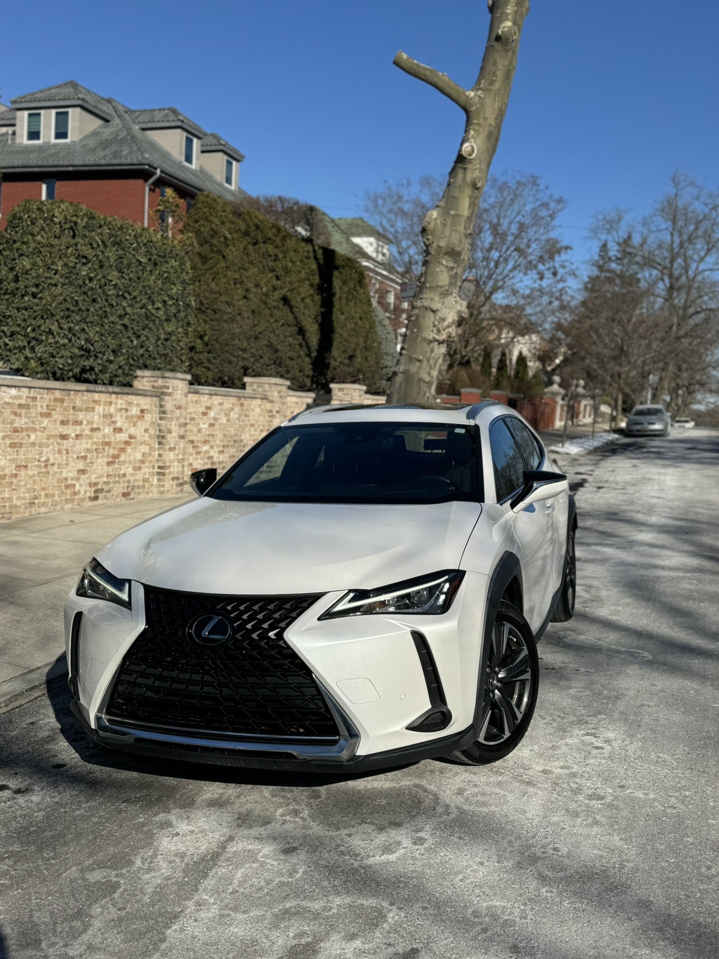 2020 Lexus UX 200