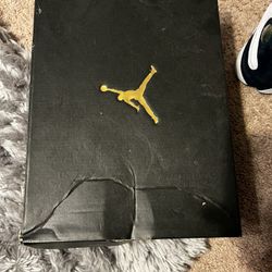 Jordan 13