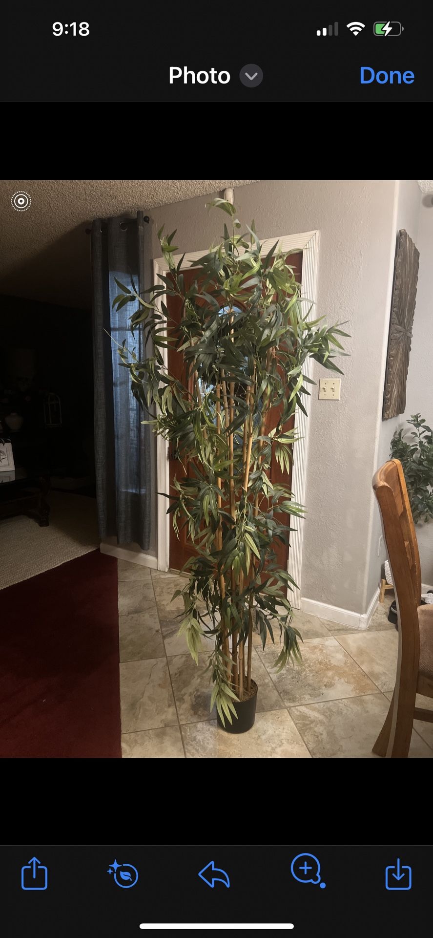 5 Feet Like New