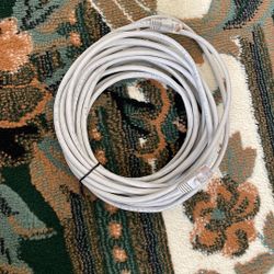 Cat5E FTP 24AWGX4P  10ft Ethernet Wire