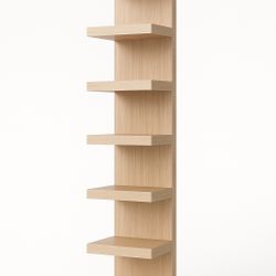 Limited Modern-Style Oak Shelf