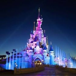 DisneyLand Ticket Both Parks
