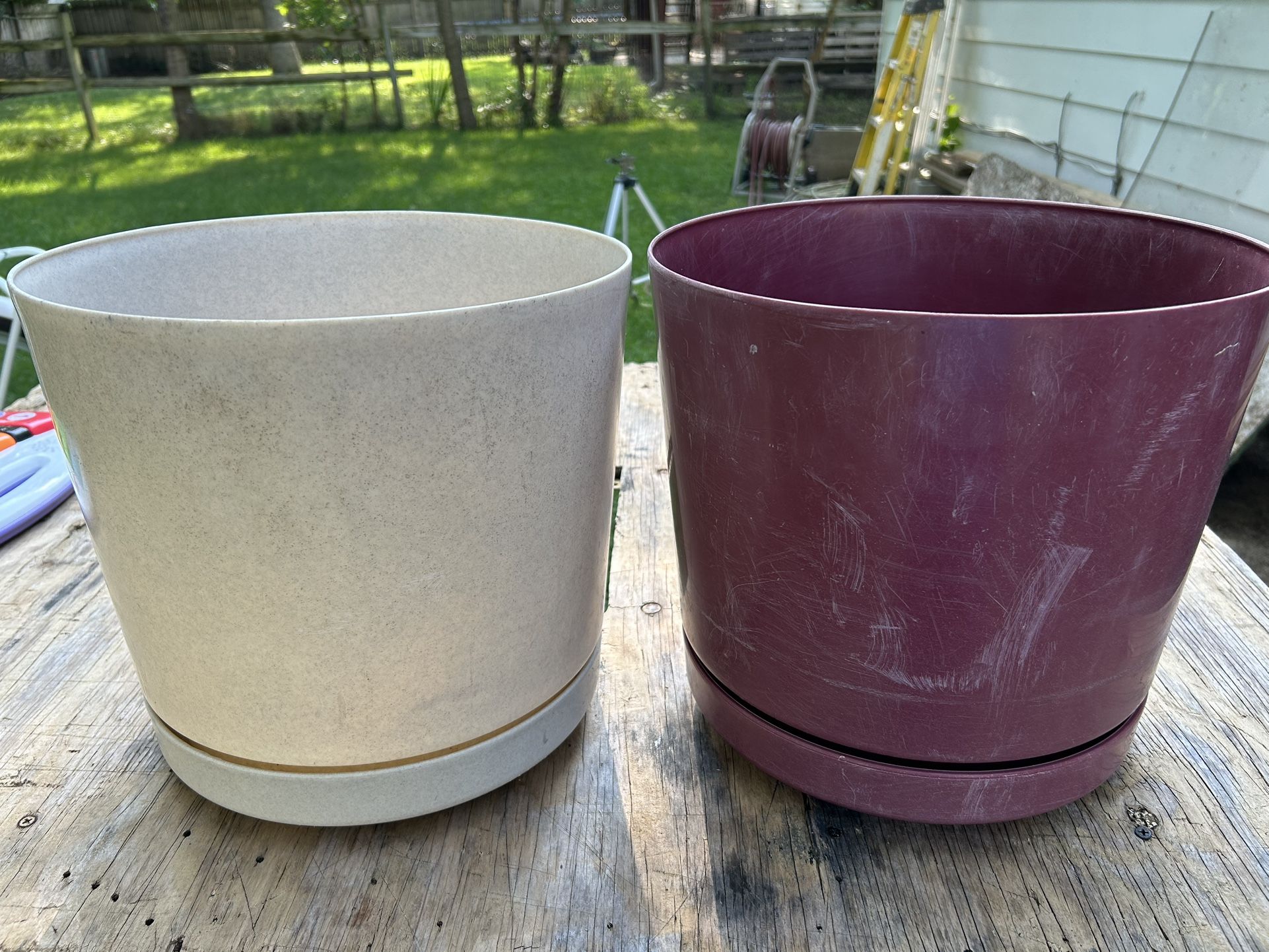 Flower Pot