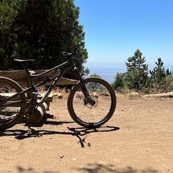 Specialized Status 160