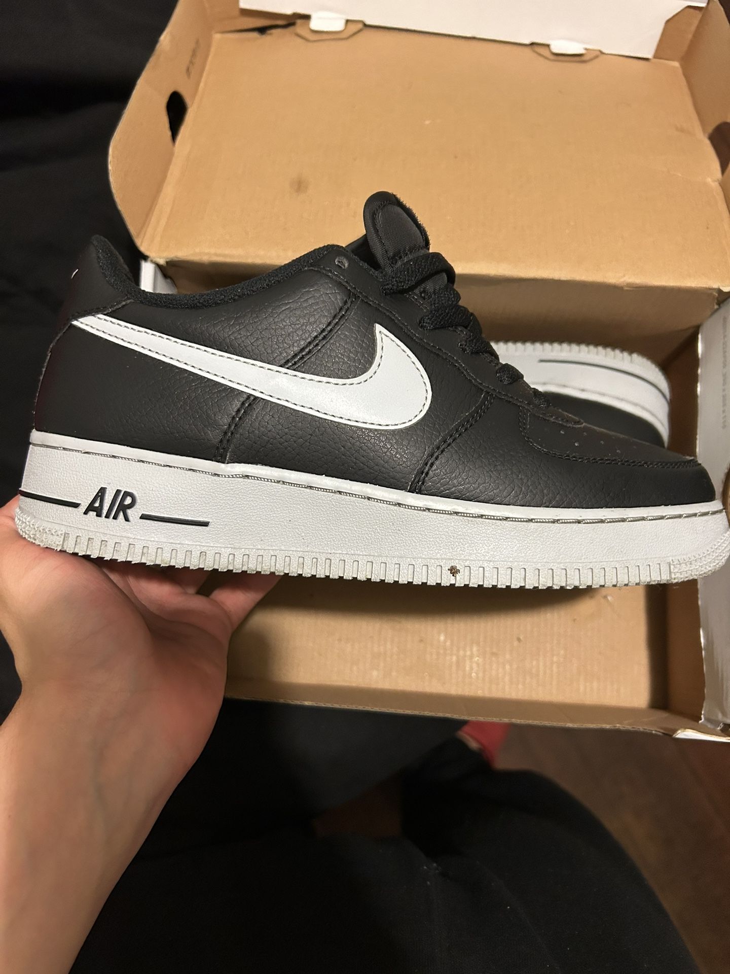 gray wolf Air Force 1