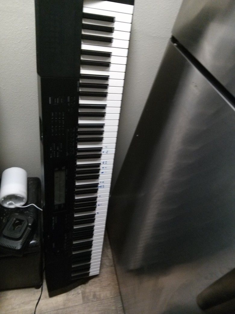 Casio Cdp-220r