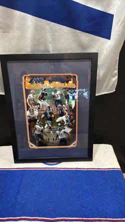 Chicago Bears 2006 Framed Print