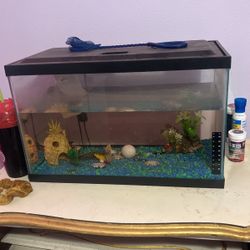 Fish tank(comes with everything in tank)