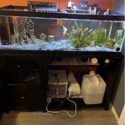 60 Gallon Tank with Stand and New Filter