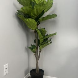 Plastic House Plant